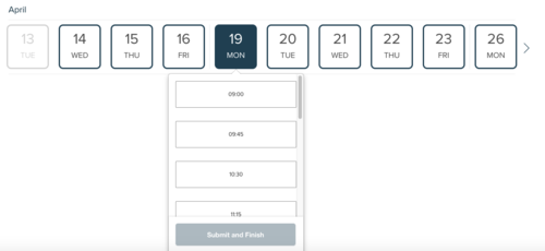 Screenshot Dubsado Scheduler days in row by Flourish Online Management