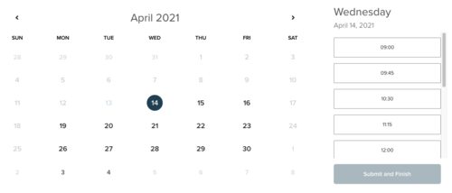 Screenshot Dubsado Scheduler monthly view by Flourish Online Management